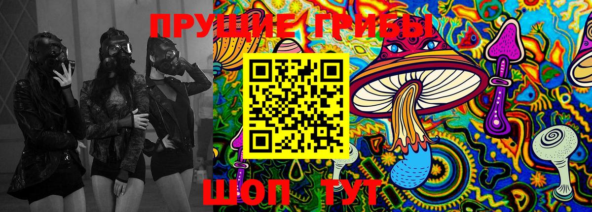 Галлюциногенные грибы Psilocybe Дальнереченск