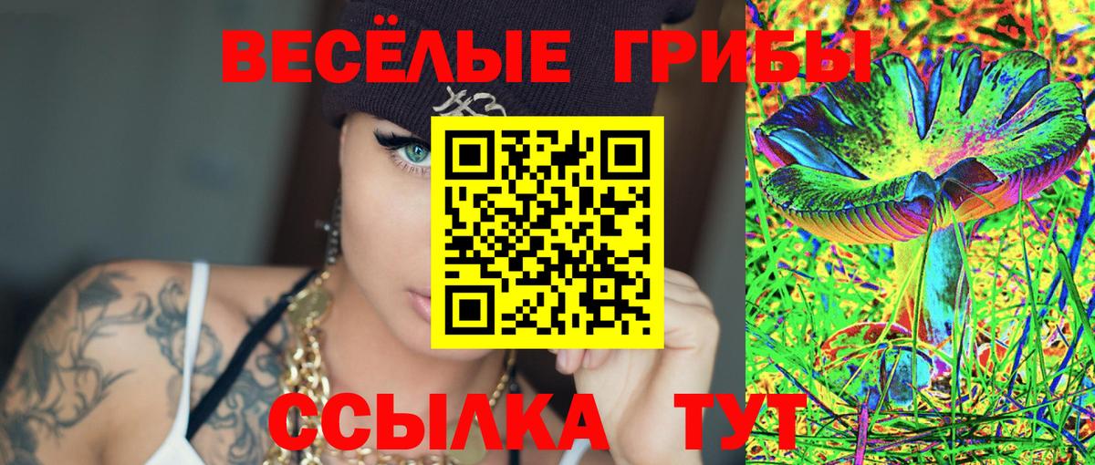 Дальнереченск  Галлюциногенные грибы прущие грибы  Вход с VPN 